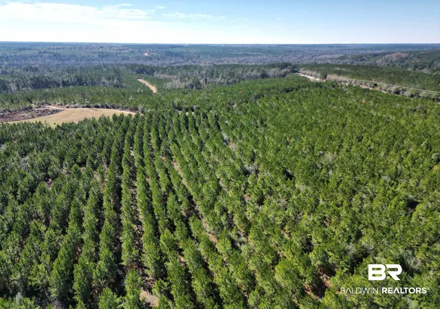Photo 1 of Land for sale at 01 Robinsonville Rd, Atmore, AL 36502 | MLS# 372398 | Listing updated on 2026-08-02