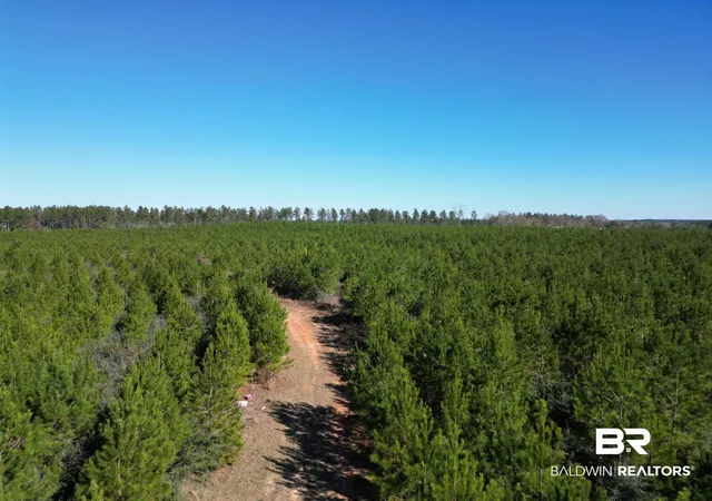 Photo 3 of Land for sale at 01 Robinsonville Rd, Atmore, AL 36502 | MLS# 372398 | Listing updated on 2026-08-02