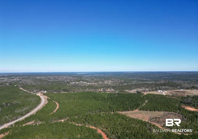 Photo 4 of Land for sale at 01 Robinsonville Rd, Atmore, AL 36502 | MLS# 372398 | Listing updated on 2026-08-02