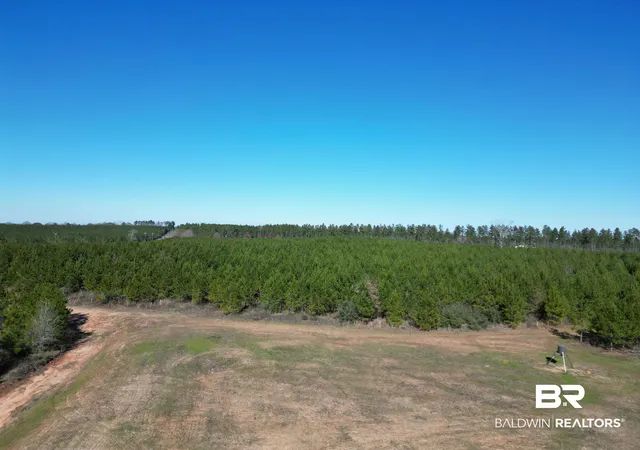 Photo 5 of Land for sale at 01 Robinsonville Rd, Atmore, AL 36502 | MLS# 372398 | Listing updated on 2026-08-02