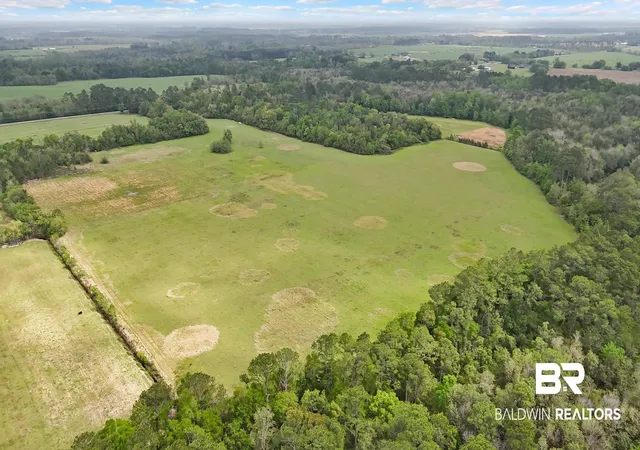 Photo 1 of Land for sale at 0 County Rd 73, Summerdale, AL 36580 | MLS# 395986 | Listing updated on 2026-08-23