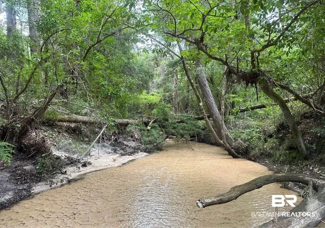 Photo 4 of Land for sale at 0 Dry Branch Ln, Robertsdale, AL 36567 | MLS# 399365 | Listing updated on 2026-08-02