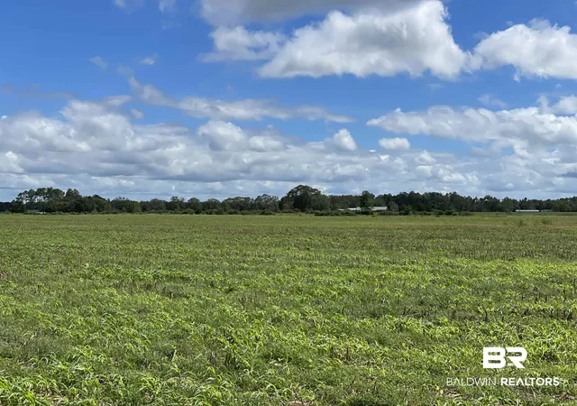 Photo 1 of Land for sale at 5700 Block Pine Forest Rd, Mc David, FL 32568 | MLS# 368559 | Listing updated on 2026-10-06