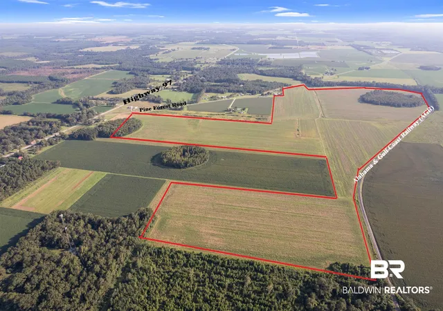Photo 2 of Land for sale at 5700 Block Pine Forest Rd, Mc David, FL 32568 | MLS# 368559 | Listing updated on 2026-10-06