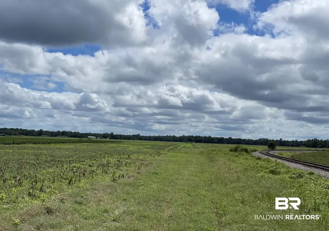 Photo 3 of Land for sale at 5700 Block Pine Forest Rd, Mc David, FL 32568 | MLS# 368559 | Listing updated on 2026-10-06