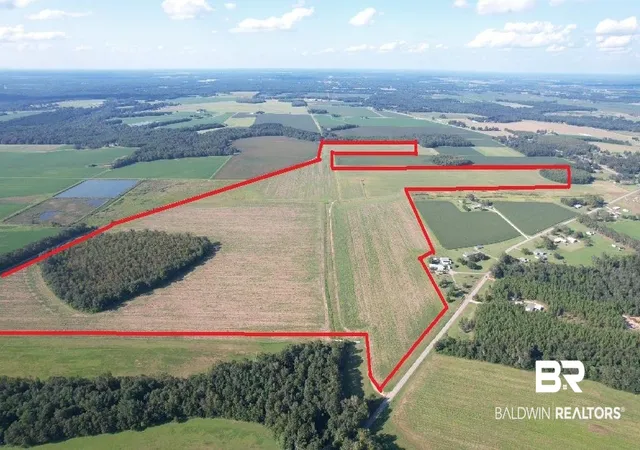 Photo 3 of Land for sale at 5700 Block Pine Forest Rd, Mc David, FL 32568 | MLS# 368559 | Listing updated on 2026-10-06