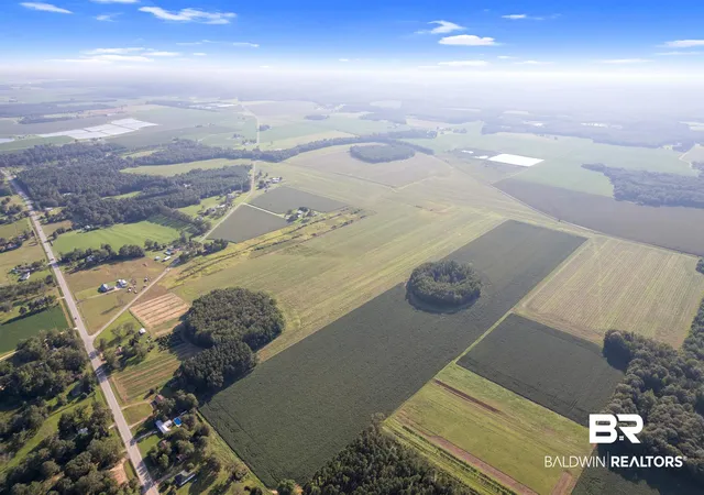 Photo 4 of Land for sale at 5700 Block Pine Forest Rd, Mc David, FL 32568 | MLS# 368559 | Listing updated on 2026-10-06