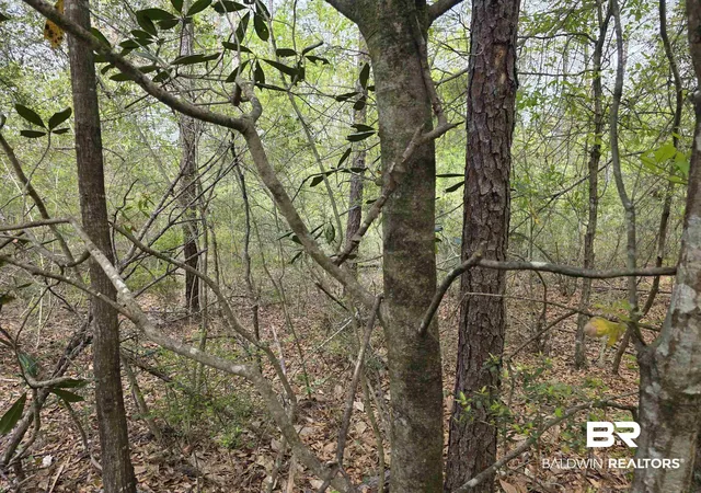Photo 1 of Land for sale at 12287 Red Hl Rd Ext, Bay Minette, AL 36507 | MLS# 394314 | Listing updated on 2026-08-02