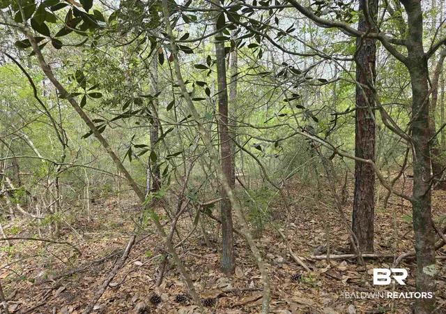 Photo 2 of Land for sale at 12287 Red Hl Rd Ext, Bay Minette, AL 36507 | MLS# 394314 | Listing updated on 2026-08-02