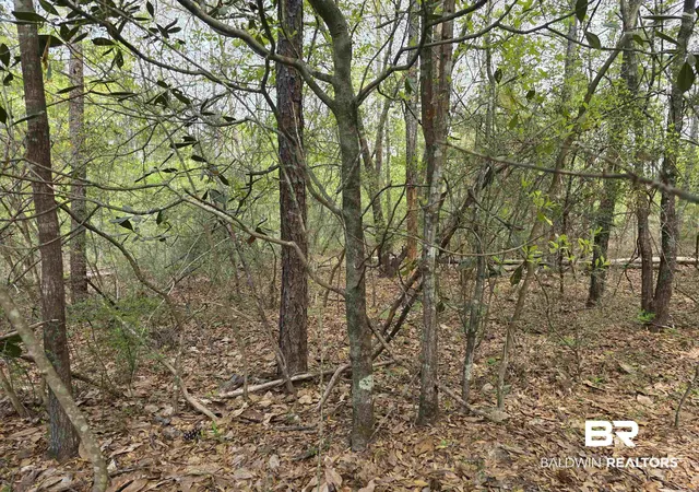 Photo 3 of Land for sale at 12287 Red Hl Rd Ext, Bay Minette, AL 36507 | MLS# 394314 | Listing updated on 2026-08-02