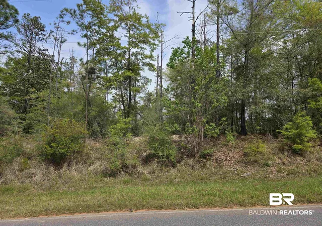 Photo 3 of Land for sale at 12287 Red Hl Rd Ext, Bay Minette, AL 36507 | MLS# 394314 | Listing updated on 2026-08-02