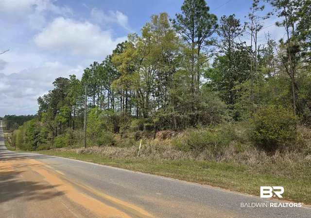 Photo 4 of Land for sale at 12287 Red Hl Rd Ext, Bay Minette, AL 36507 | MLS# 394314 | Listing updated on 2026-08-02