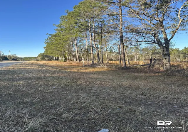 Photo 3 of Land for sale at 50945 US Hwy 31, Bay Minette, AL 36507 | MLS# 395335 | Listing updated on 2026-08-15