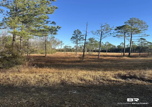 Photo 4 of Land for sale at 50945 US Hwy 31, Bay Minette, AL 36507 | MLS# 395335 | Listing updated on 2026-08-15