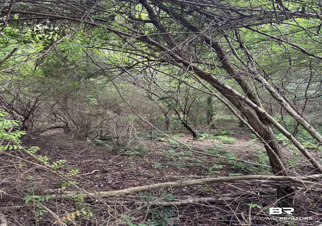 Photo 3 of Land for sale at Lot 6 County Rd 48, Robertsdale, AL 36567 | MLS# 399867 | Listing updated on 2026-09-02