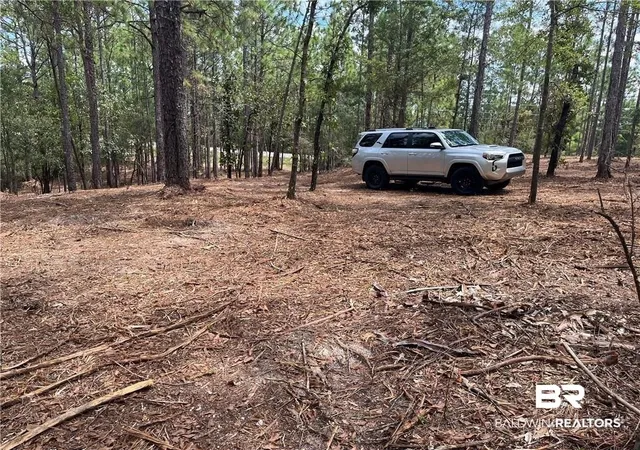 Photo 1 of Sale Pending at 0 State Hwy 225, Spanish Fort, AL 36527 | MLS# 374781 | Listing updated on 2026-10-23