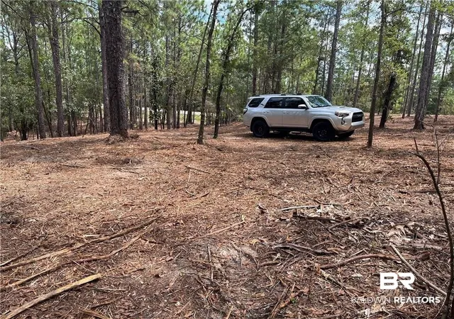Photo 3 of Sale Pending at 0 State Hwy 225, Spanish Fort, AL 36527 | MLS# 374781 | Listing updated on 2026-10-23
