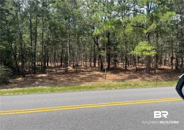 Photo 3 of Sale Pending at 0 State Hwy 225, Spanish Fort, AL 36527 | MLS# 374781 | Listing updated on 2026-10-23