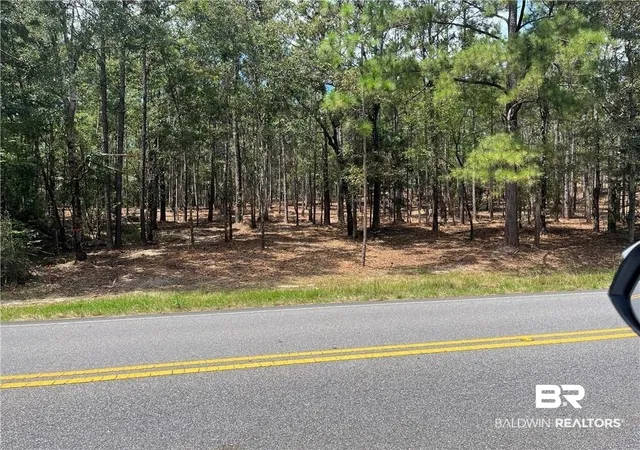 Photo 4 of Sale Pending at 0 State Hwy 225, Spanish Fort, AL 36527 | MLS# 374781 | Listing updated on 2026-10-23