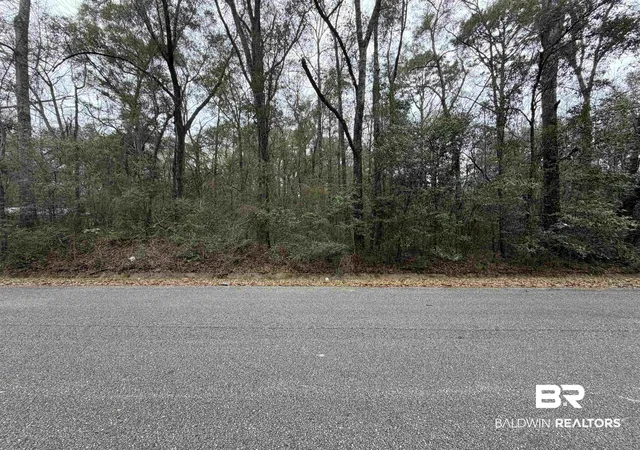 Land for sale at 0 Carol St, Mobile, AL 36608 | MLS# 395911