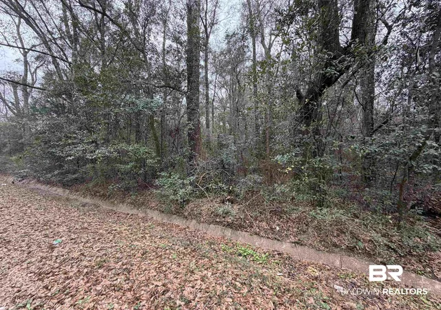 Photo 2 of Land for sale at 0 Carol St, Mobile, AL 36608 | MLS# 395911 | Listing updated on 2026-07-24