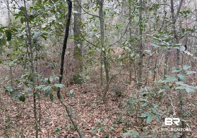 Photo 3 of Land for sale at 0 Carol St, Mobile, AL 36608 | MLS# 395911 | Listing updated on 2026-07-24