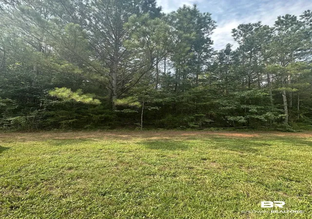 Photo 2 of Land for sale at 0 Main St, Hayneville, AL 36040 | MLS# 400041 | Listing updated on 2026-07-31