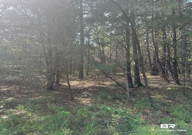 Photo 3 of Land for sale at 0 Main St, Hayneville, AL 36040 | MLS# 400041 | Listing updated on 2026-07-31