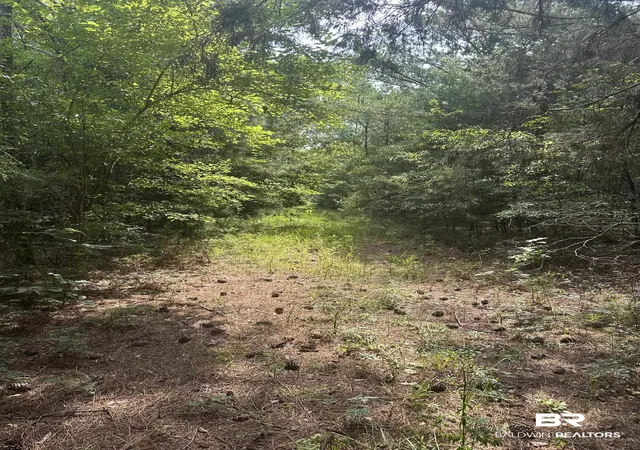 Photo 4 of Land for sale at 0 Main St, Hayneville, AL 36040 | MLS# 400041 | Listing updated on 2026-07-31