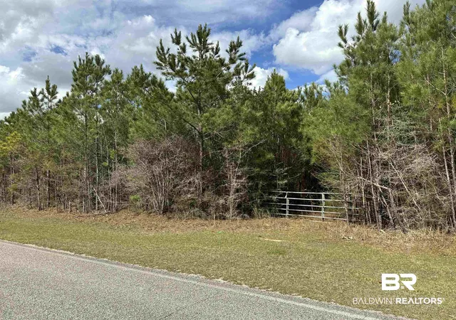 Photo 3 of Land for sale at 0 Maytower Rd, Stockton, AL 36579 | MLS# 399243 | Listing updated on 2026-08-02