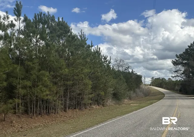 Photo 4 of Land for sale at 0 Maytower Rd, Stockton, AL 36579 | MLS# 399243 | Listing updated on 2026-08-02