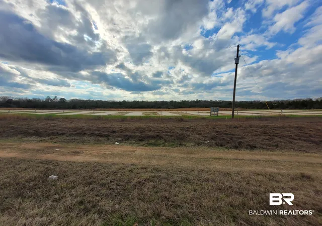 Photo 3 of Land for sale at 1961 Highway 113, Flomaton, AL 36441 | MLS# 392074 | Listing updated on 2026-08-12