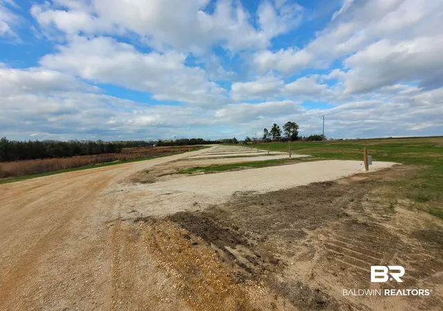 Photo 4 of Land for sale at 1961 Highway 113, Flomaton, AL 36441 | MLS# 392074 | Listing updated on 2026-08-12