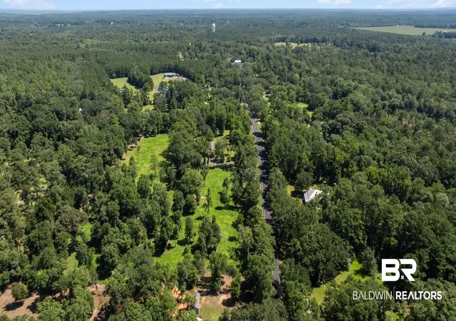 Photo 4 of Land for sale at 53009 State Hwy 59, Stockton, AL 36579 | MLS# 399325 | Listing updated on 2026-07-24