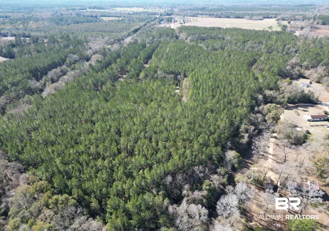1st image of 0 Old Fannie Rd, Flomaton, AL 36441 | MLS# 391095