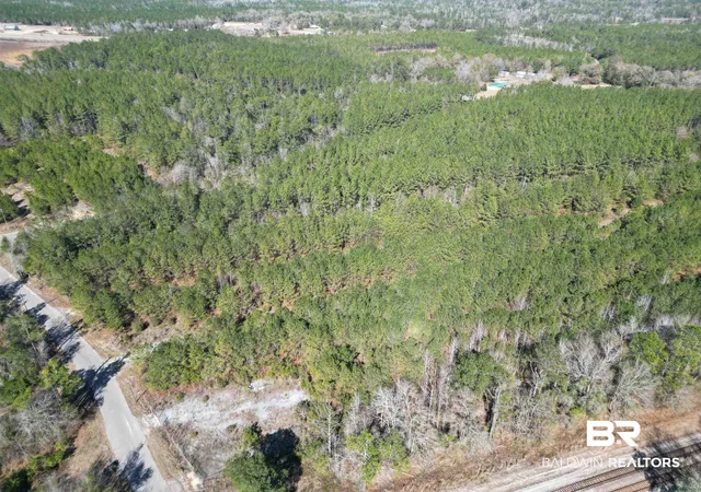 2nd image of 0 Old Fannie Rd, Flomaton, AL 36441 | MLS# 391095