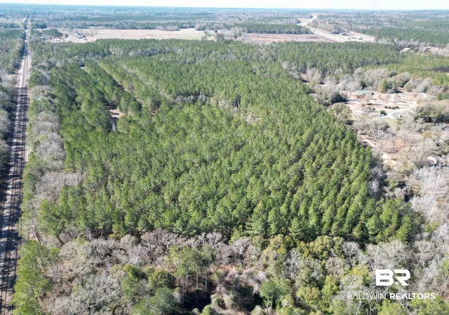 Photo 3 of Land for sale at 0 Old Fannie Rd, Flomaton, AL 36441 | MLS# 391095 | Listing updated on 2026-08-02