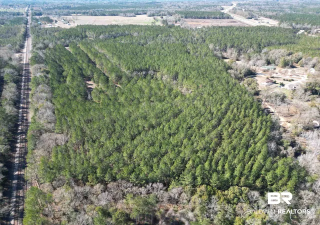 Photo 4 of Land for sale at 0 Old Fannie Rd, Flomaton, AL 36441 | MLS# 391095 | Listing updated on 2026-08-02