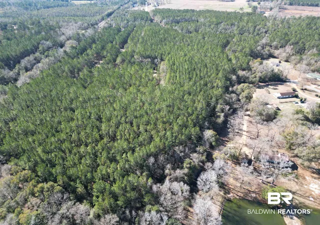 Photo 5 of Land for sale at 0 Old Fannie Rd, Flomaton, AL 36441 | MLS# 391095 | Listing updated on 2026-08-02