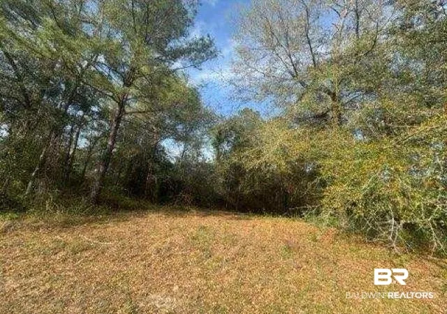 Photo 1 of Land for sale at 0 Delta Woods Dr, Bay Minette, AL 36507 | MLS# 394344 | Listing updated on 2026-08-02