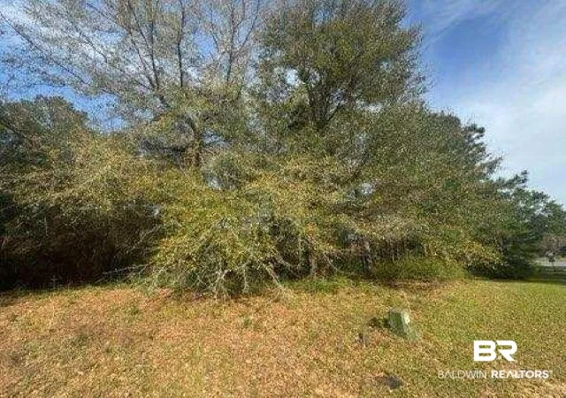 Photo 2 of Land for sale at 0 Delta Woods Dr, Bay Minette, AL 36507 | MLS# 394344 | Listing updated on 2026-08-02