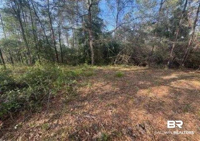 Photo 3 of Land for sale at 0 Delta Woods Dr, Bay Minette, AL 36507 | MLS# 394344 | Listing updated on 2026-08-02