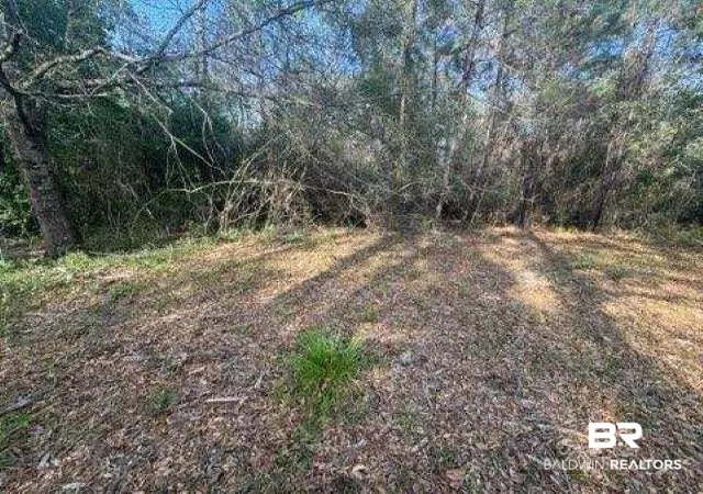 Photo 3 of Land for sale at 0 Delta Woods Dr, Bay Minette, AL 36507 | MLS# 394344 | Listing updated on 2026-08-02