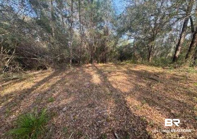 Photo 4 of Land for sale at 0 Delta Woods Dr, Bay Minette, AL 36507 | MLS# 394344 | Listing updated on 2026-08-02