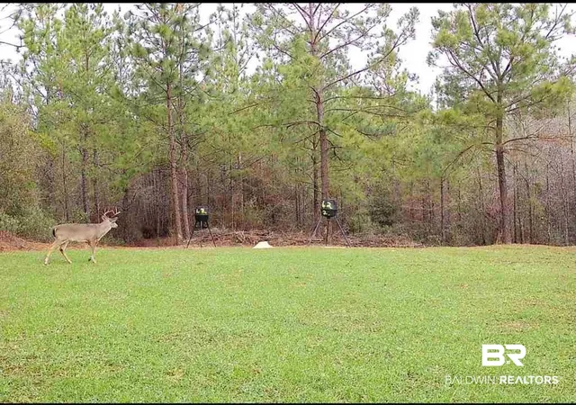 1st image of 58979 Jack Springs Rd, Perdido, AL 36562 | MLS# 386552