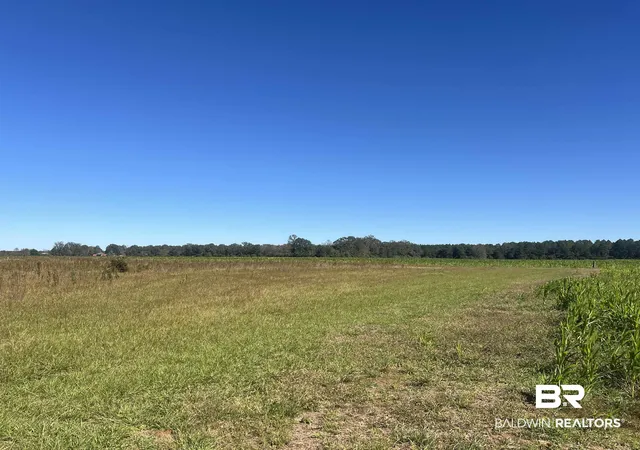 1st image of 4900 Block Hwy 97, Walnut Hill, FL 32568 | MLS# 387754