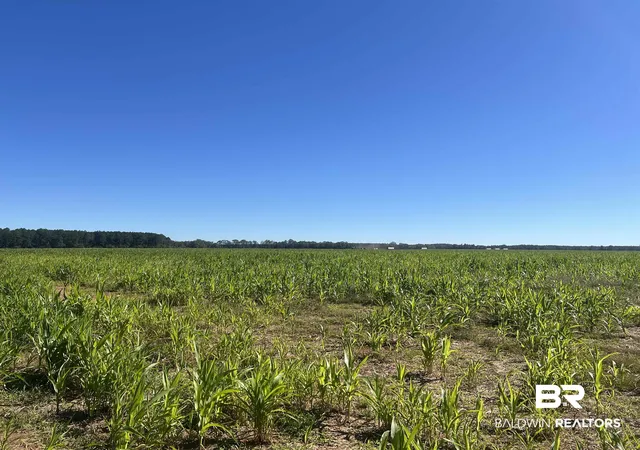 2nd image of 4900 Block Hwy 97, Walnut Hill, FL 32568 | MLS# 387754
