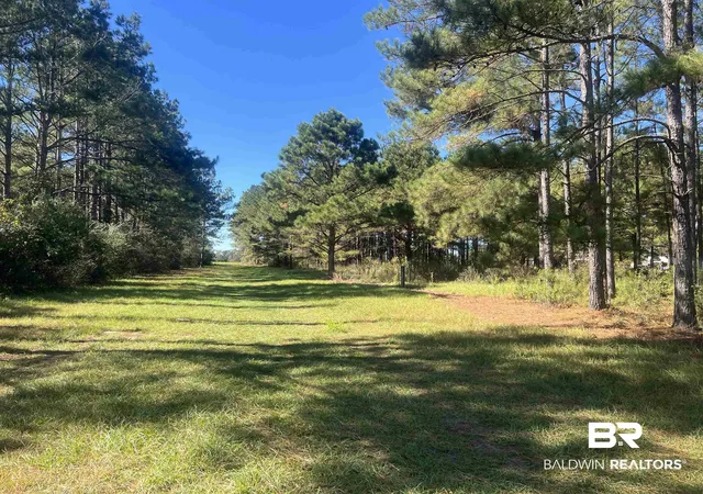 Photo 2 of Land for sale at 4900 Block Hwy 97, Walnut Hill, FL 32568 | MLS# 387754 | Listing updated on 2026-10-13