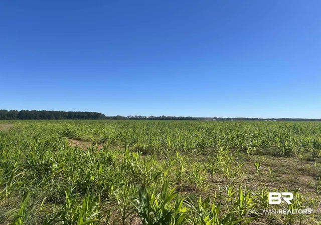 Photo 3 of Land for sale at 4900 Block Hwy 97, Walnut Hill, FL 32568 | MLS# 387754 | Listing updated on 2026-10-13