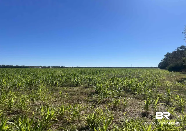 Photo 4 of Land for sale at 4900 Block Hwy 97, Walnut Hill, FL 32568 | MLS# 387754 | Listing updated on 2026-10-13